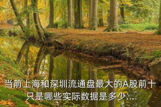 當前上海和深圳流通盤最大的A股前十只是哪些實際數(shù)據(jù)是多少...
