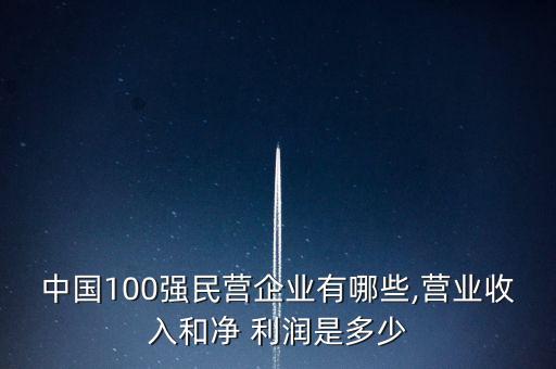 中國(guó)100強(qiáng)民營(yíng)企業(yè)有哪些,營(yíng)業(yè)收入和凈 利潤(rùn)是多少