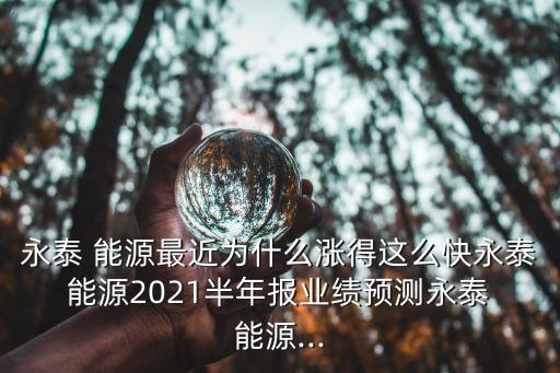 永泰 能源最近為什么漲得這么快永泰 能源2021半年報(bào)業(yè)績(jī)預(yù)測(cè)永泰 能源...