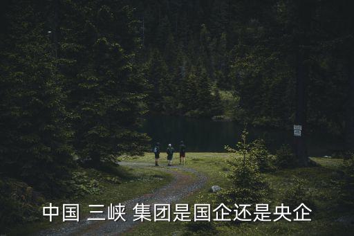 三峽投資能源集團(tuán)有限公司,三峽國際能源投資集團(tuán)有限公司招聘