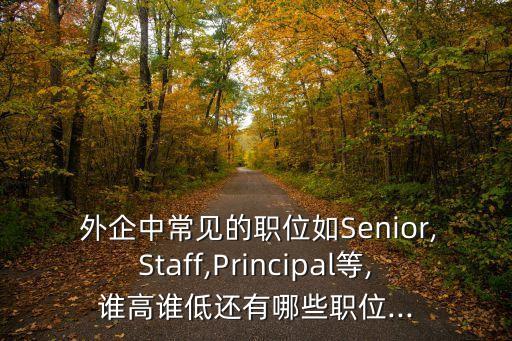  外企中常見的職位如Senior,Staff,Principal等,誰高誰低還有哪些職位...