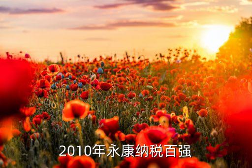 2010年永康納稅百強(qiáng)