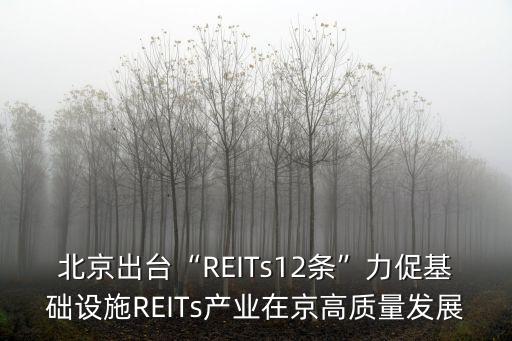 中國(guó)reits梳理,中國(guó)9只reits