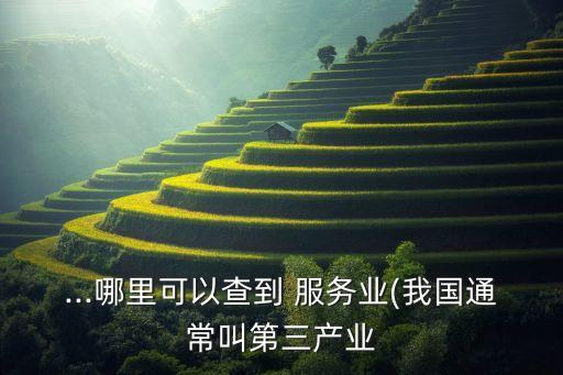 ...哪里可以查到 服務(wù)業(yè)(我國通常叫第三產(chǎn)業(yè)