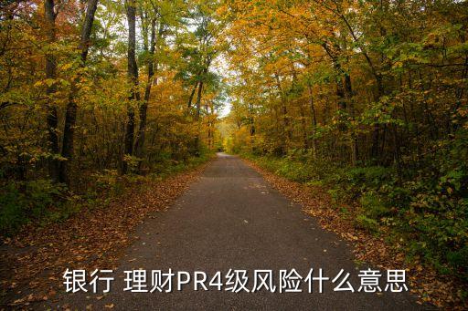  銀行 理財PR4級風(fēng)險什么意思