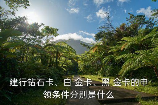 建行鉆石卡、白 金卡、黑 金卡的申領(lǐng)條件分別是什么