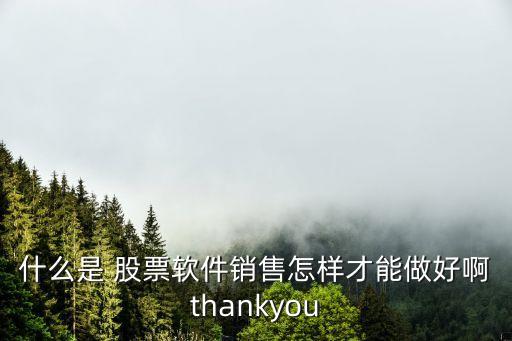 什么是 股票軟件銷售怎樣才能做好啊thankyou