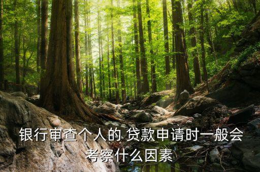  銀行審查個(gè)人的 貸款申請(qǐng)時(shí)一般會(huì)考察什么因素