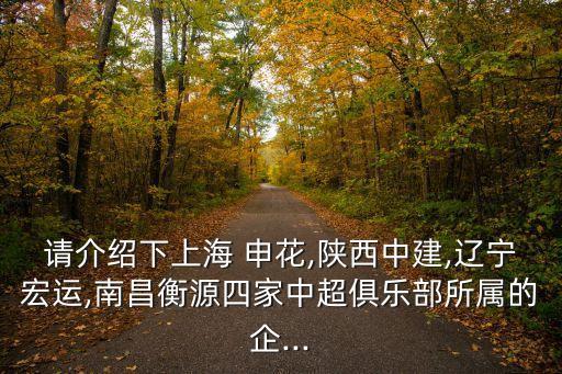 請(qǐng)介紹下上海 申花,陜西中建,遼寧宏運(yùn),南昌衡源四家中超俱樂(lè)部所屬的企...