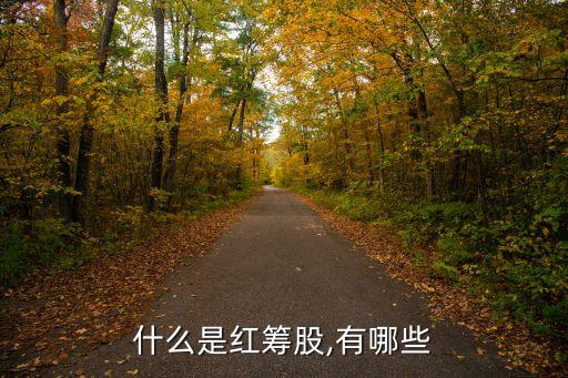 什么是紅籌股,有哪些