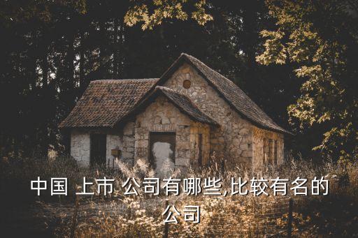 中國 上市 公司有哪些,比較有名的 公司