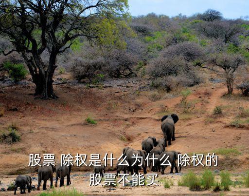  股票 除權是什么為什么 除權的 股票不能買