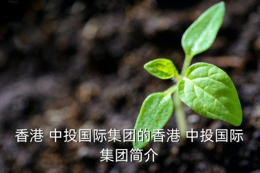 中投華人文化有限公司,盛世華人(北京)文化傳播有限公司