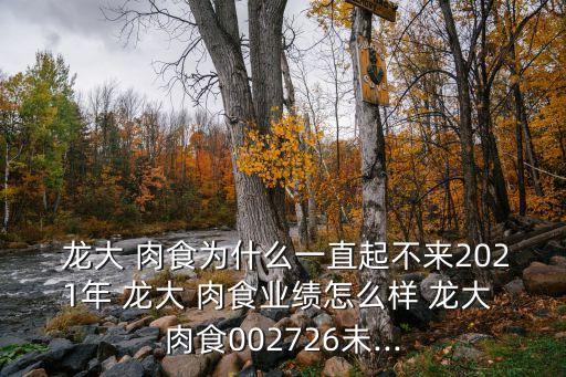  龍大 肉食為什么一直起不來2021年 龍大 肉食業(yè)績?cè)趺礃?龍大 肉食002726未...