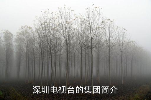 深圳電視臺的集團簡介