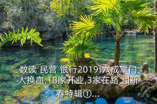 數(shù)讀 民營 銀行2019:六成掌門人換血,18家開業(yè),3家在路上|新春特輯①...