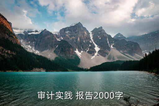  審計(jì)實(shí)踐 報(bào)告2000字