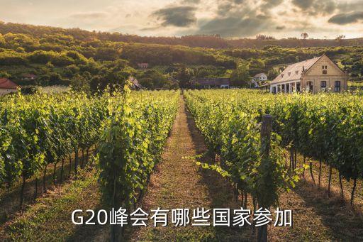 G20峰會(huì)有哪些國家參加