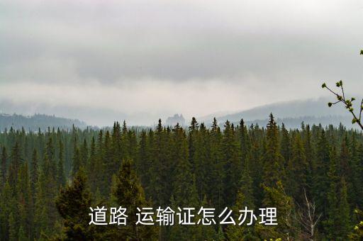 上海道路運輸證從業(yè)資格證審證在哪里,上海貨運從業(yè)資格證審證地點