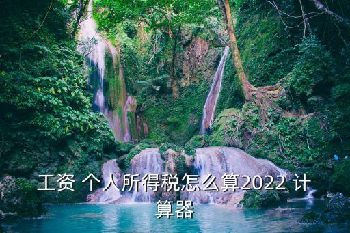 工資 個(gè)人所得稅怎么算2022 計(jì)算器