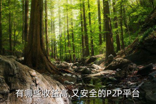 有哪些收益高,又安全的P2P平臺(tái)