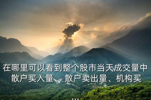 在哪里可以看到整個(gè)股市當(dāng)天成交量中 散戶買入量、 散戶賣出量、機(jī)構(gòu)買...