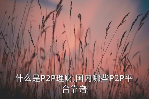 什么是P2P理財,國內(nèi)哪些P2P平臺靠譜