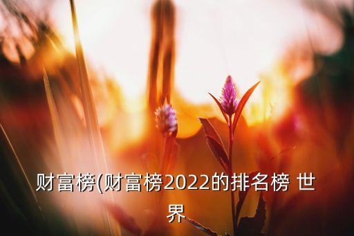 財富榜(財富榜2022的排名榜 世界