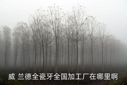 威 蘭德全瓷牙全國加工廠在哪里啊