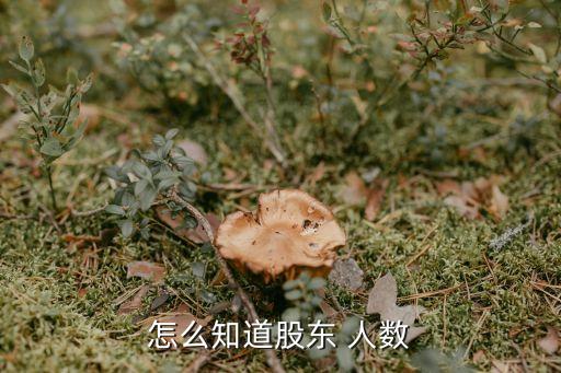 怎么知道股東 人數(shù)