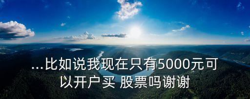 ...比如說我現(xiàn)在只有5000元可以開戶買 股票嗎謝謝