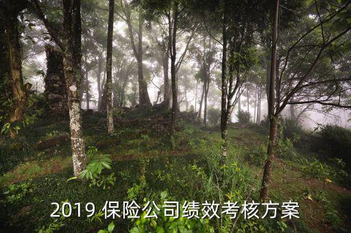 2019 保險公司績效考核方案