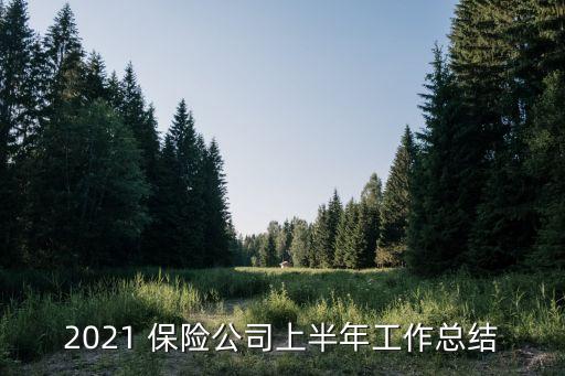 2021 保險公司上半年工作總結