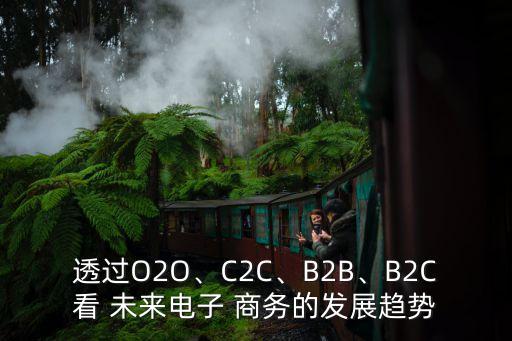 透過O2O、C2C、B2B、B2C看 未來電子 商務(wù)的發(fā)展趨勢(shì)