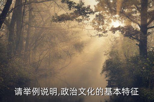 請(qǐng)舉例說明,政治文化的基本特征