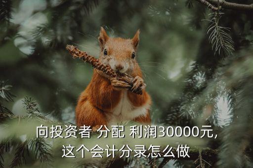 向投資者 分配 利潤30000元,這個會計分錄怎么做