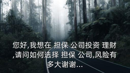 您好,我想在 擔(dān)保 公司投資 理財(cái),請問如何選擇 擔(dān)保 公司,風(fēng)險(xiǎn)有多大謝謝...