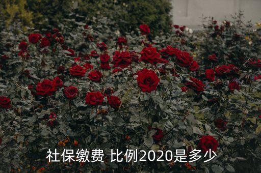  社保繳費 比例2020是多少