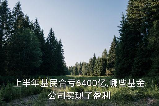 上半年基民合虧6400億,哪些基金公司實(shí)現(xiàn)了盈利