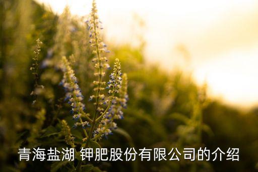 中國(guó)啟動(dòng)對(duì)全球最大鉀肥生產(chǎn)商