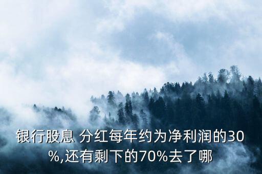 銀行股息 分紅每年約為凈利潤的30%,還有剩下的70%去了哪