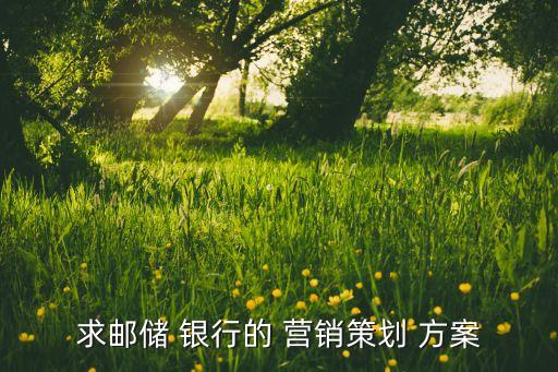 求郵儲(chǔ) 銀行的 營(yíng)銷(xiāo)策劃 方案