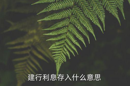 建行利息存入什么意思