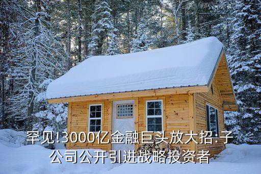 罕見(jiàn)!3000億金融巨頭放大招:子公司公開(kāi)引進(jìn)戰(zhàn)略投資者