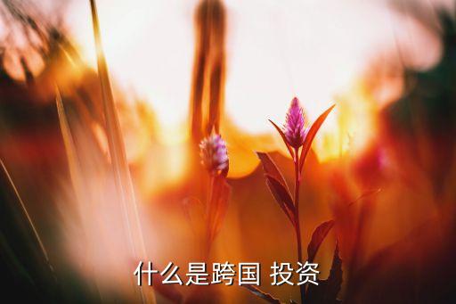 什么是跨國 投資