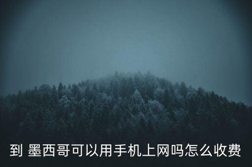 到 墨西哥可以用手機上網(wǎng)嗎怎么收費