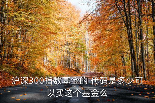 滬深300指數(shù)基金的 代碼是多少可以買這個基金么