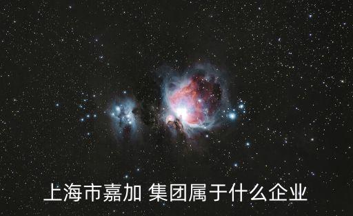 嘉定區(qū)嘉加集團蔣麗敏,嘉加集團蔣麗敏簡歷