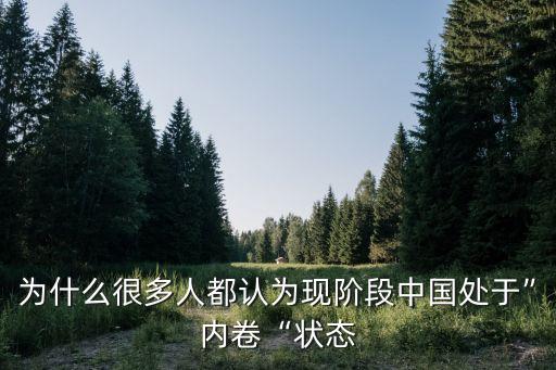 為什么很多人都認(rèn)為現(xiàn)階段中國處于”內(nèi)卷“狀態(tài)