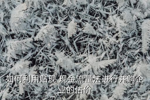 如何利用貼現(xiàn) 現(xiàn)金流量法進(jìn)行并購(gòu)企業(yè)的估價(jià)